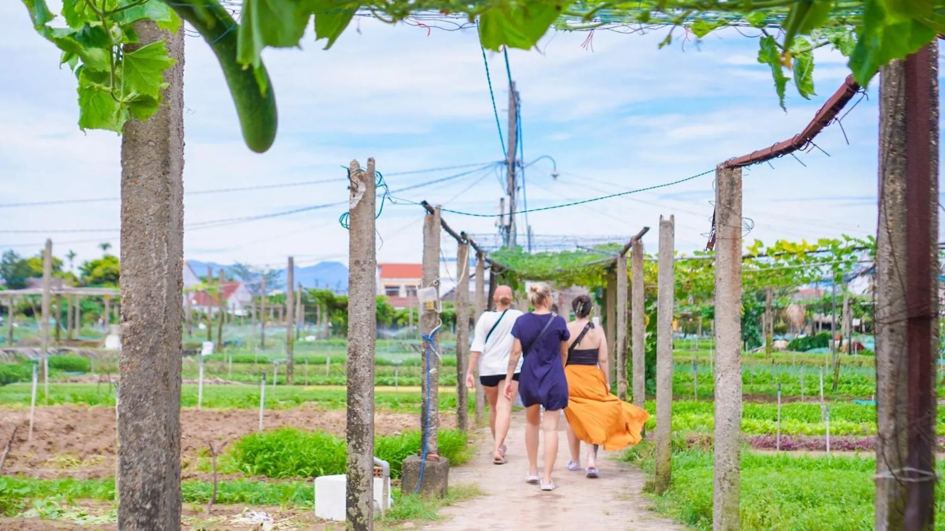 Ong Tam Tra Que Villa Hoi An 0*,  Vietnam